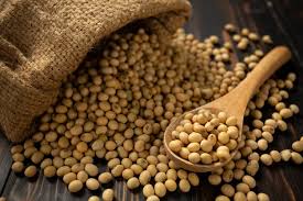 soybeans