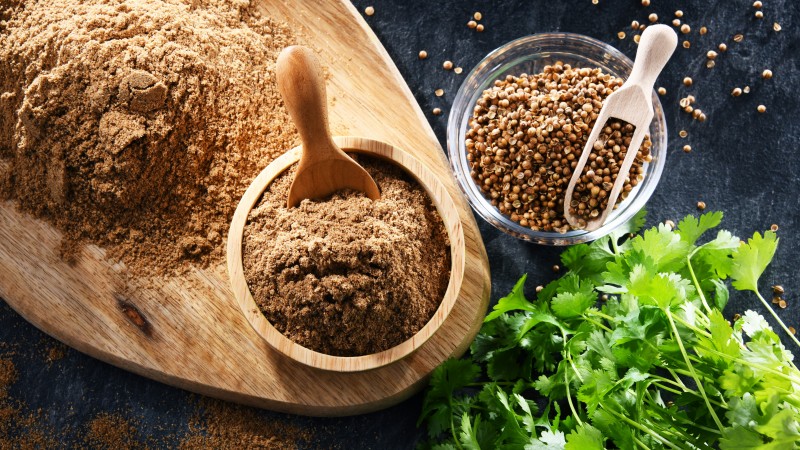 Coriander