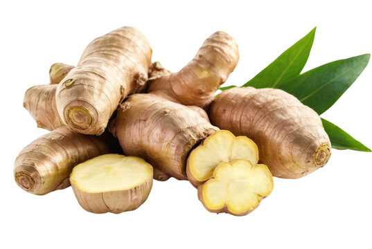 Ginger