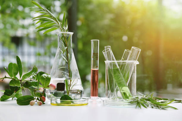 Organic Chemicals